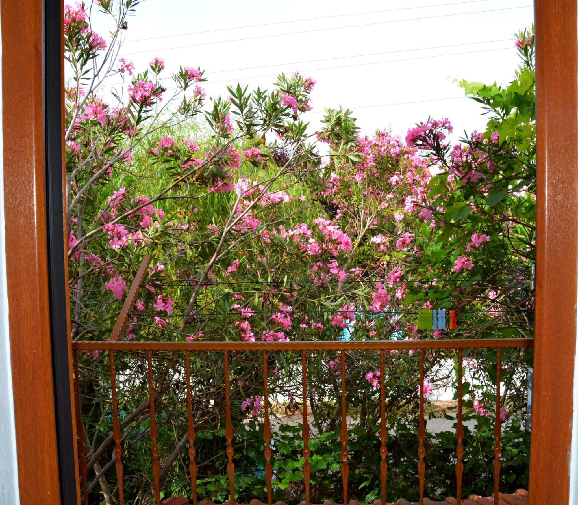 Villa Poseidon Dalyan Exterior photo